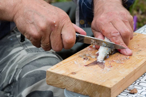 Fisherman cleans a knife fresh caught grayling — Stock Photo, Image