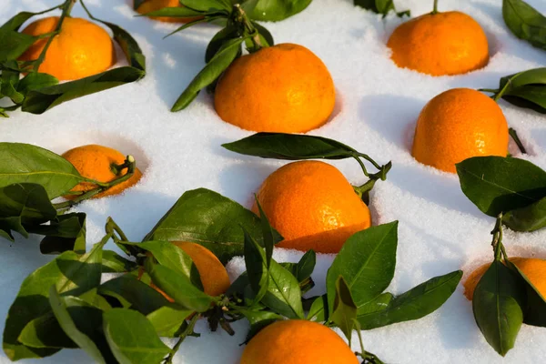 Background of fresh tangerines with leaves — Stock Photo, Image