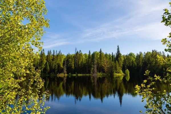 Bellissimo lago in una zona remota sull'isola di Valaam — Foto Stock