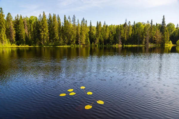 Divoká krajina jezero na ostrově Valaam letní — Stock fotografie