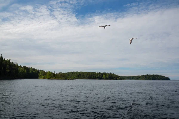 Costa famosa isola Valaam al mattino — Foto Stock