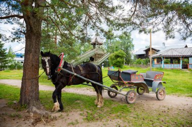 Rus turist Merkezi Verhnie Mandrogi eski arabası