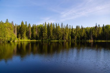 Yaz Tabiat Manzarası göl Valaam Island üzerinde
