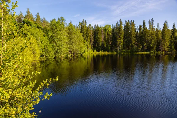 Verão lago paisagem selvagem na ilha de Valaam — Fotografia de Stock