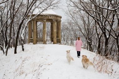 Genç kadın bir köpekle karla kaplı parkta yürüyor