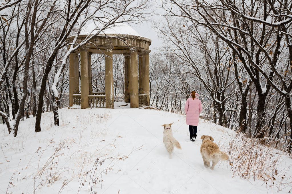 Young woman with a dog walks in snow-covered park