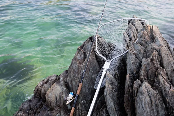 在靠海的岩石海岸上旋转和着陆的网 — 图库照片