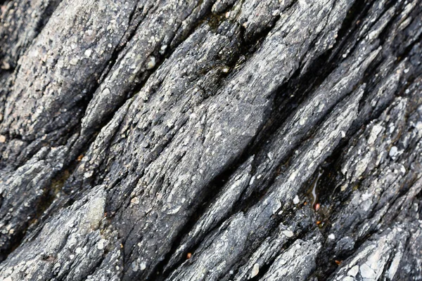 Achtergrond Met Natuurlijke Rotsen Aan Zee — Stockfoto