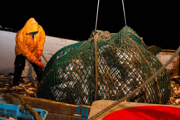 Des Pêcheurs Ont Soulevé Chalut Avec Poisson Bord Navire Dans — Photo