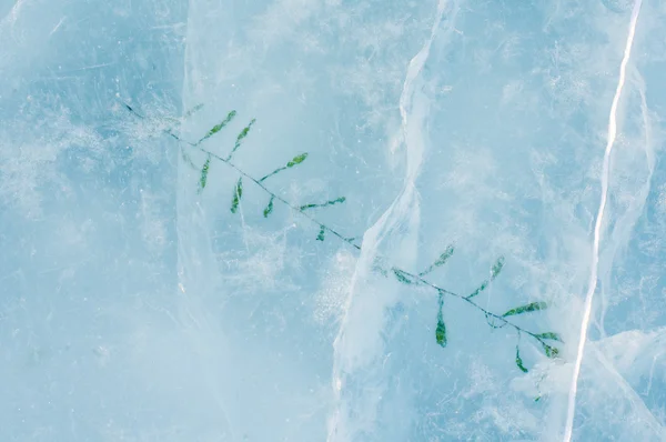 Hielo agrietado del frío . — Foto de Stock