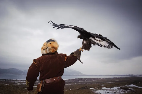 Międzynarodowy Turniej "Kansonar" mistrzów polowania z polowań na ptaki, poświęcony Dzień Niepodległości Republiki Kazachstanu. 9 grudnia 2017 r.. — Zdjęcie stockowe