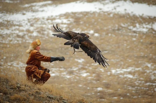 Torneio internacional "Kansonar" de mestres de caça com aves de caça, dedicado ao Dia da Independência da República do Cazaquistão. 9 de dezembro de 2017 . — Fotografia de Stock
