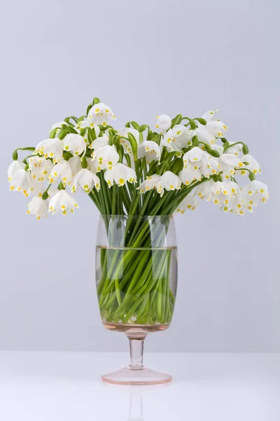 Boeket voorjaarssneeuwvlok (Leucojum vernum) in een vaas — Stockfoto
