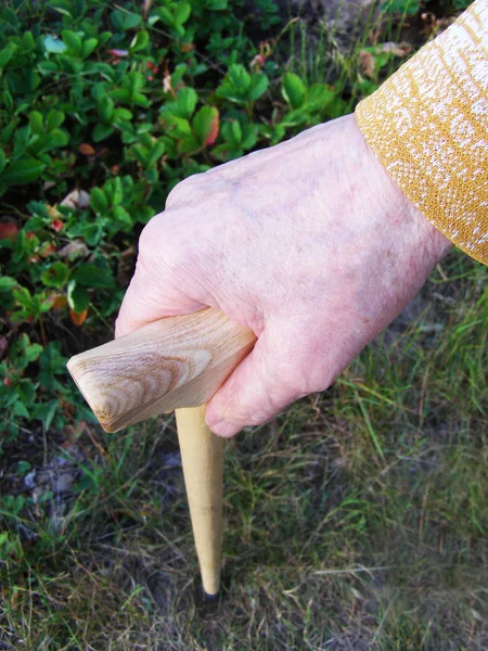 Mano de una anciana con bastón —  Fotos de Stock