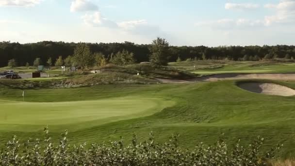 Groene golfbaan met bos — Stockvideo