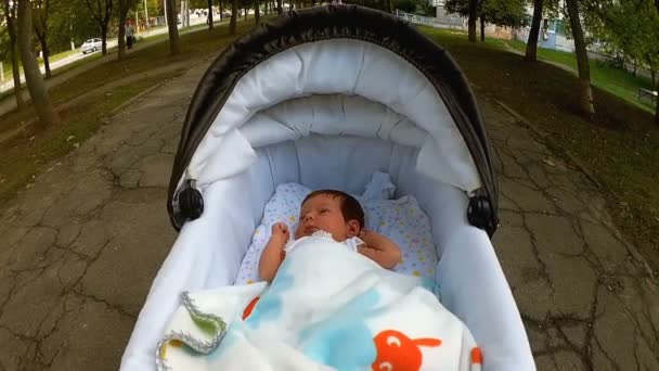 Bebê deitado no carrinho no passeio no parque — Vídeo de Stock