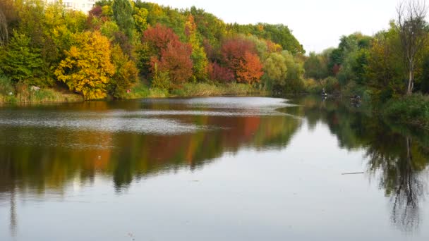 Lac et arbres d'automne derrière — Video