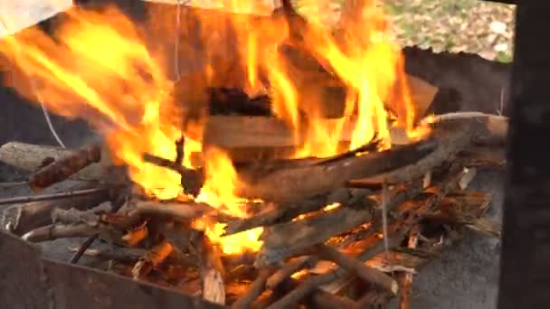 Вогонь у барбекю — стокове відео