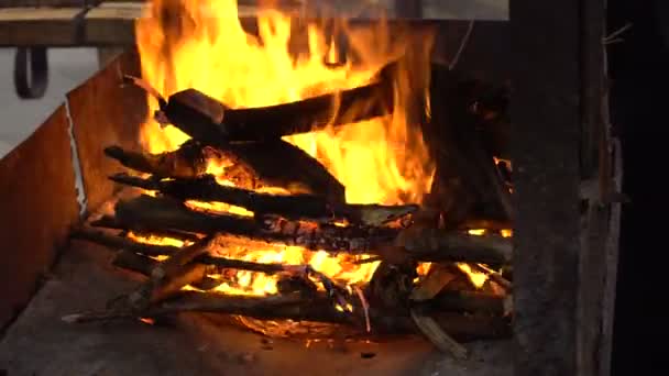 Fuego en lugar de barbacoa — Vídeo de stock