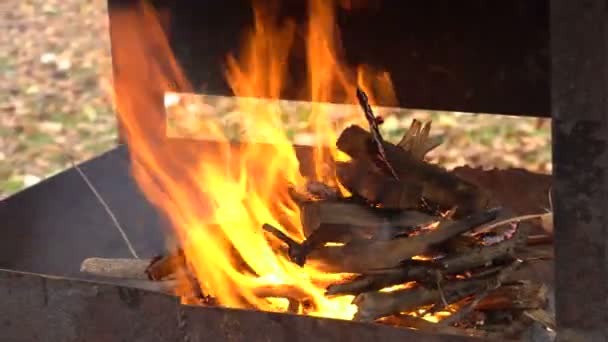 Fuoco nel posto barbecue — Video Stock