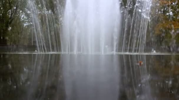 Міський фонтан у літній час — стокове відео