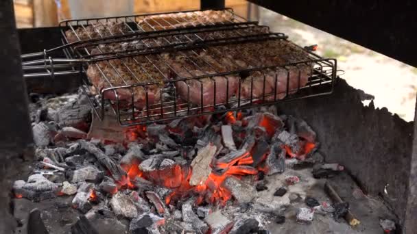 Vlees en vis grillen op de barbecue — Stockvideo