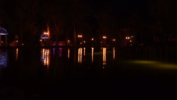 Escena nocturna con luces nocturnas — Vídeo de stock