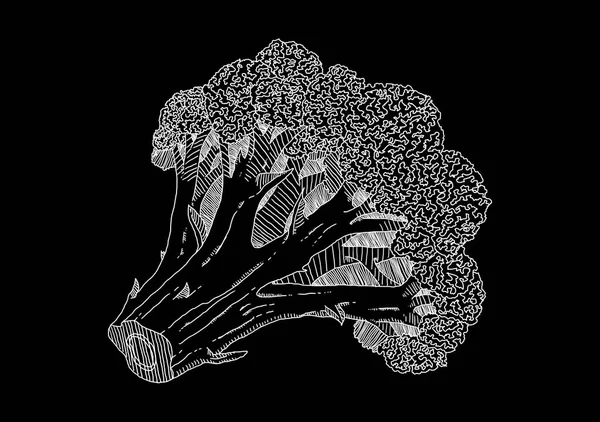 Zwarte foto van broccoli — Stockfoto