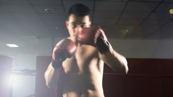 年轻的男运动员运动员训练在拳击馆 — 图库视频影像
