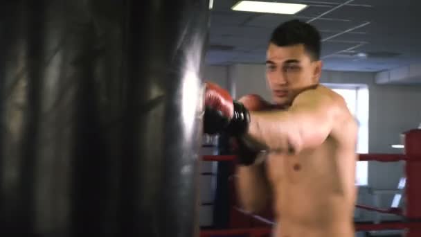 Jovem atleta esportista do sexo masculino treinando no ginásio de boxe — Vídeo de Stock