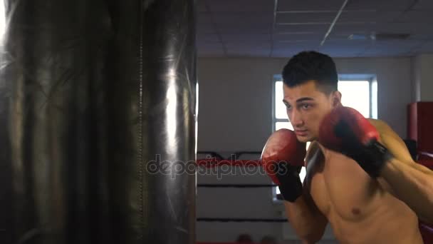 Joven deportista masculino entrenando en el gimnasio de boxeo — Vídeo de stock