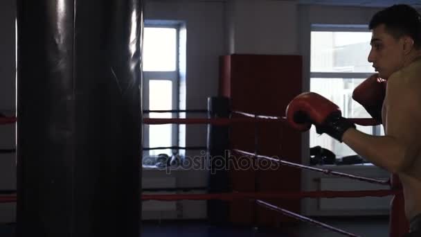 Joven deportista masculino entrenando en el gimnasio de boxeo — Vídeo de stock