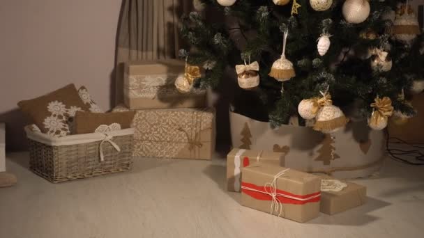 Tini lány ellopja az ajándékokat — Stock videók