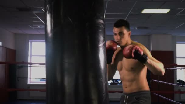 Joven deportista masculino entrenando en el gimnasio de boxeo — Vídeo de stock