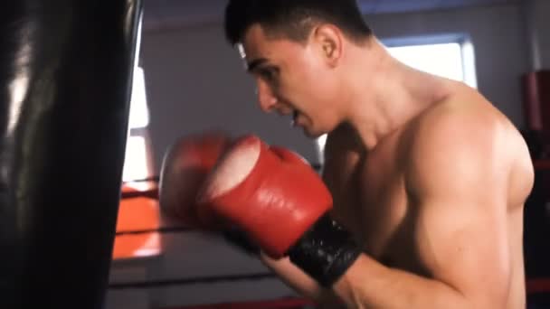 Jovem atleta esportista do sexo masculino treinando no ginásio de boxe — Vídeo de Stock