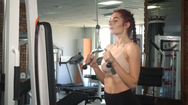 Fit femme faire de l'exercice sur triceps — Video