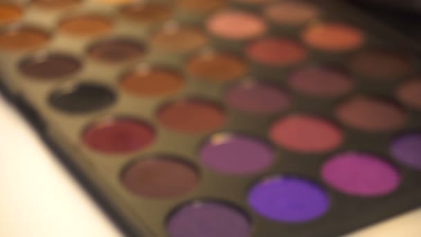 Professionelles Make-up Lidschatten Palette — Stockvideo