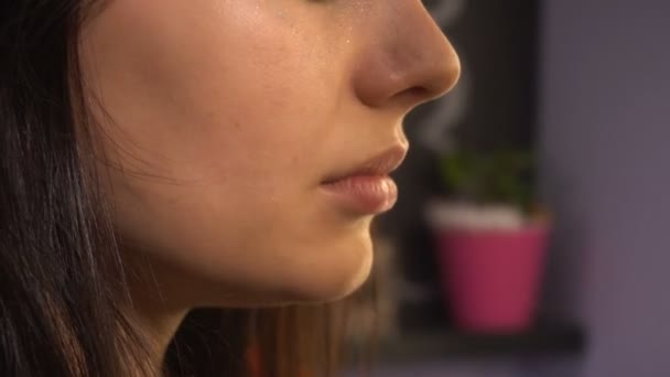Maquillaje artista hace maquillaje para mujer modelo — Vídeos de Stock