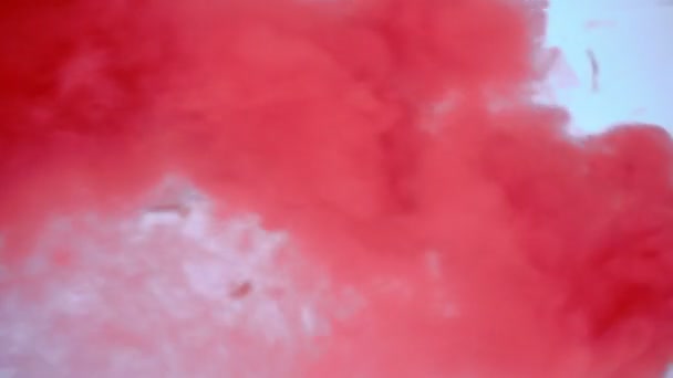 Rosso o rosa fumo colorato — Video Stock