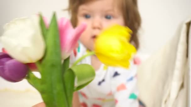 チューリップの花束と小さな女の赤ちゃん — ストック動画