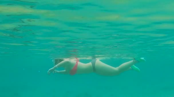 Donna che fa snorkeling in un mare incredibile — Video Stock