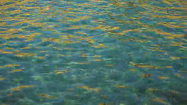 Красота текстуры чистой морской воды — стоковое видео