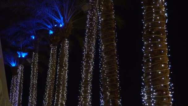 Palmiye ağaçları ile ışıklar bir sürü — Stok video
