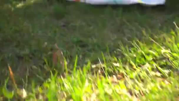 Petite fille dans le parc 