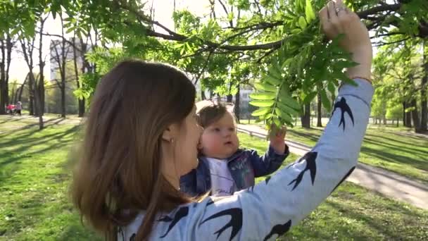 Bebê olhando para a árvore grande no parque — Vídeo de Stock