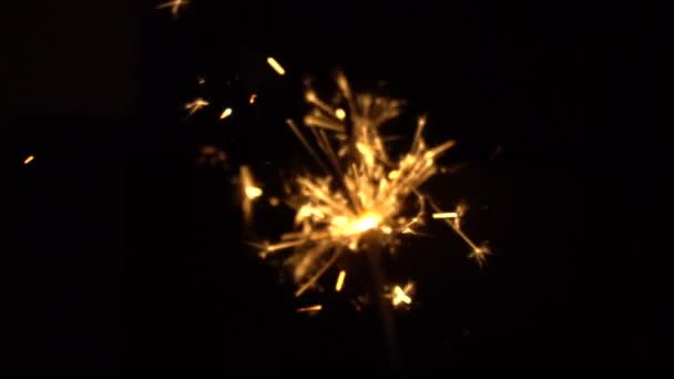黒の背景にベンガルの火の輝き — ストック動画