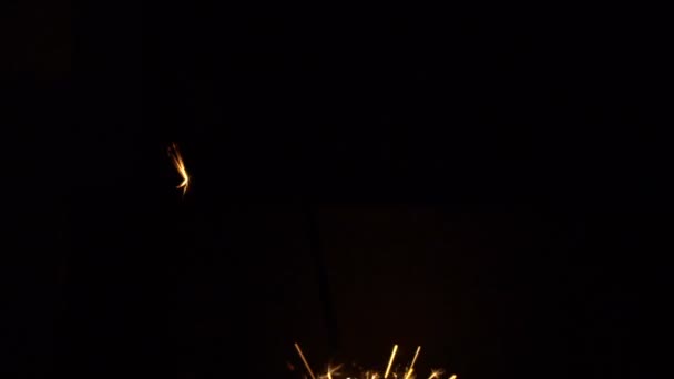 ベンガルの火の輝き — ストック動画