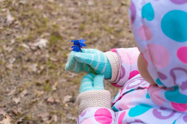 Primeira primavera flores snowdrop na mão da menina — Fotografia de Stock