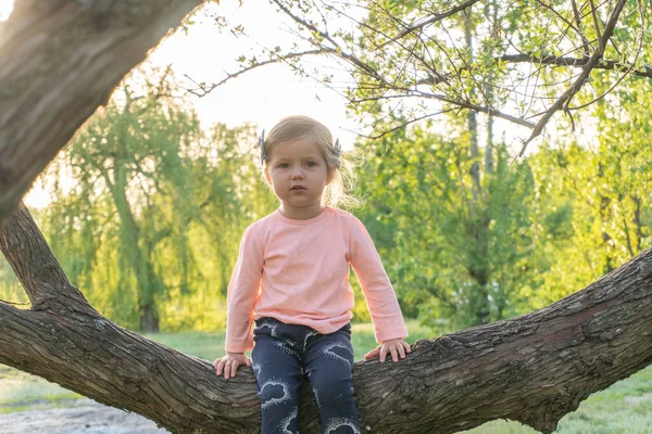 Porträtt av liten flicka sitter på gren av träd — Stockfoto