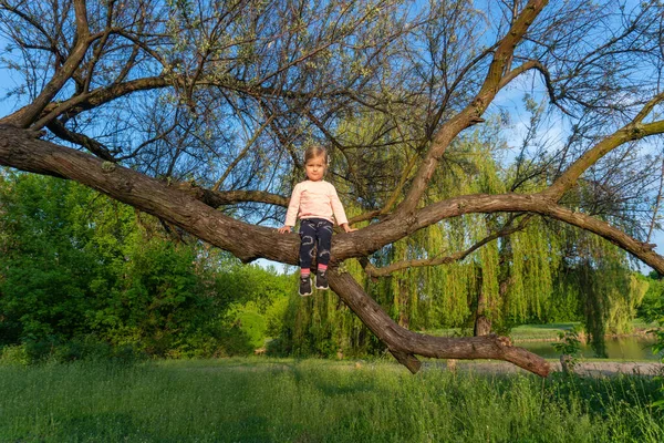 Słodka dziewczynka siedzi na drzewie na świeżym powietrzu w przyrodzie — Zdjęcie stockowe